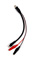 Click for more information